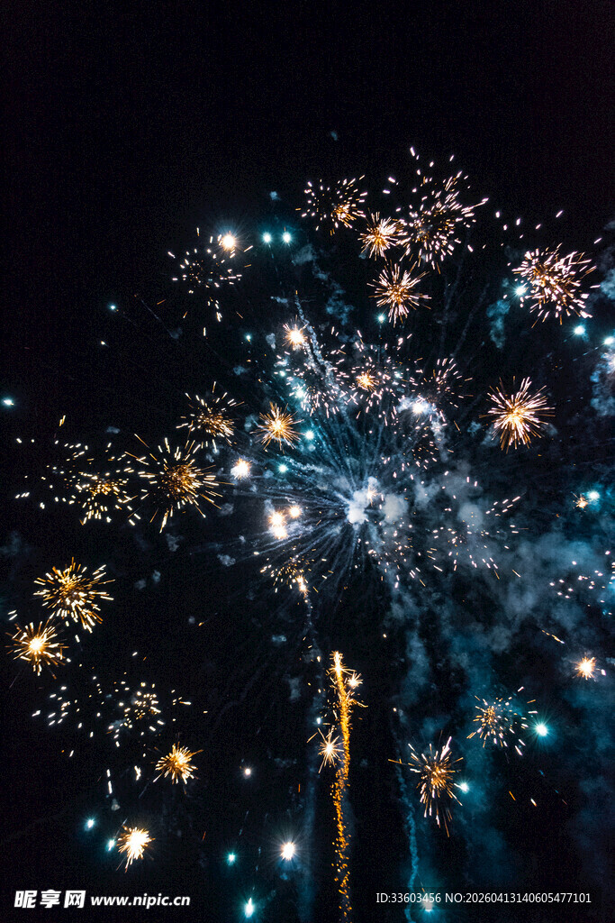 夜空中绚烂绽放的烟花