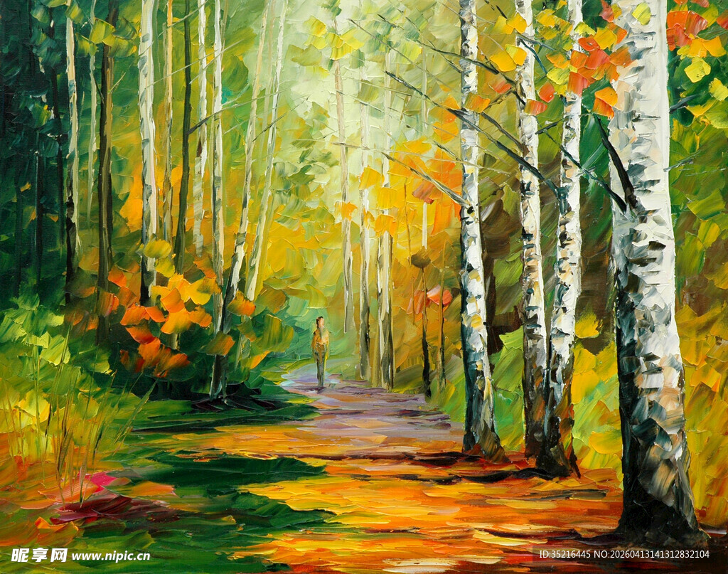 秋日白桦林的斑斓小径