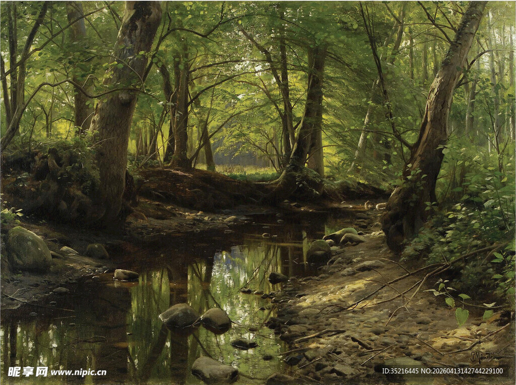 静谧森林中的潺潺溪流