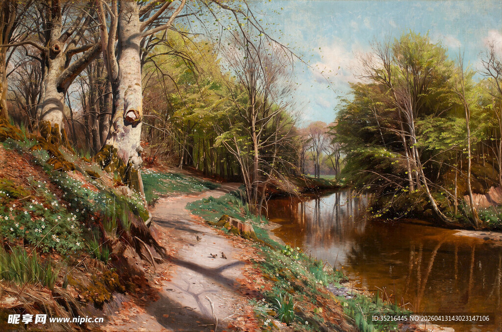 林间小径旁的静谧溪流