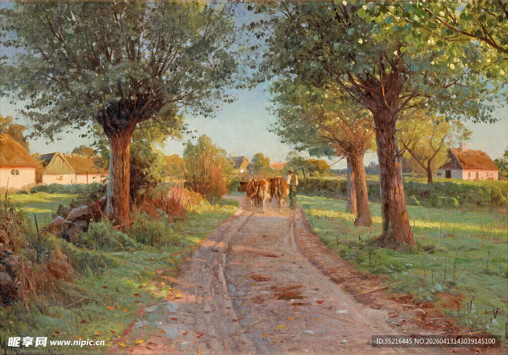 乡村林间小道的静谧美景