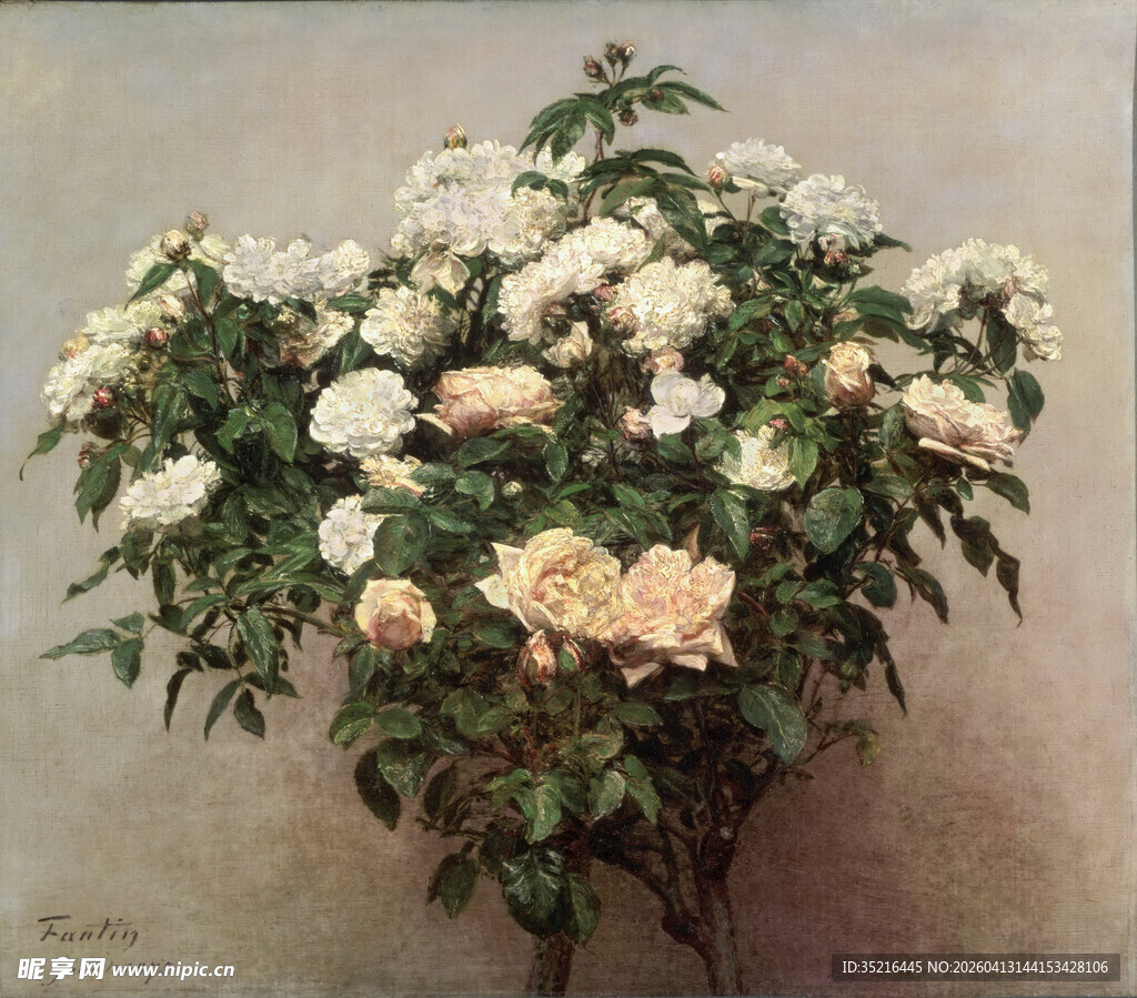 一束盛放的白玫瑰花束