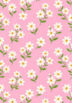 粉色 花卉 图案