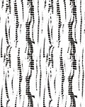 黑白线条纹理图案