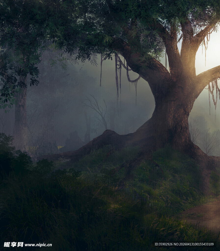 迷雾森林中的神秘大树