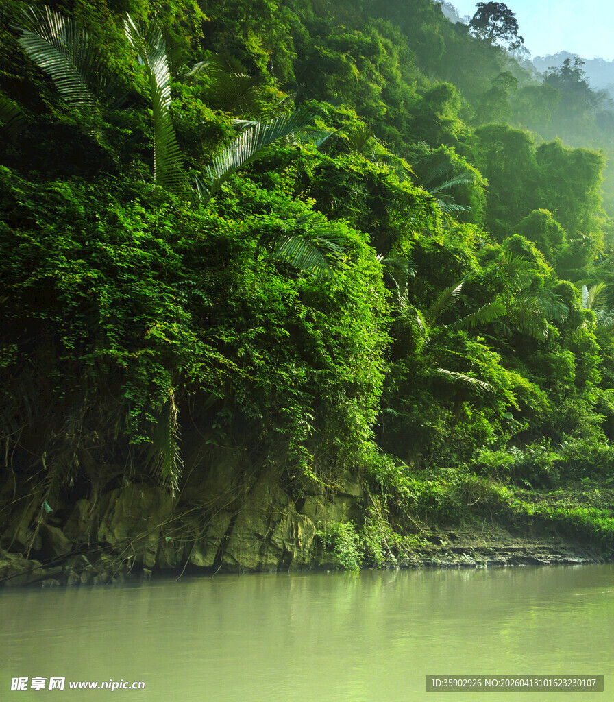 河畔葱郁的热带山林景观
