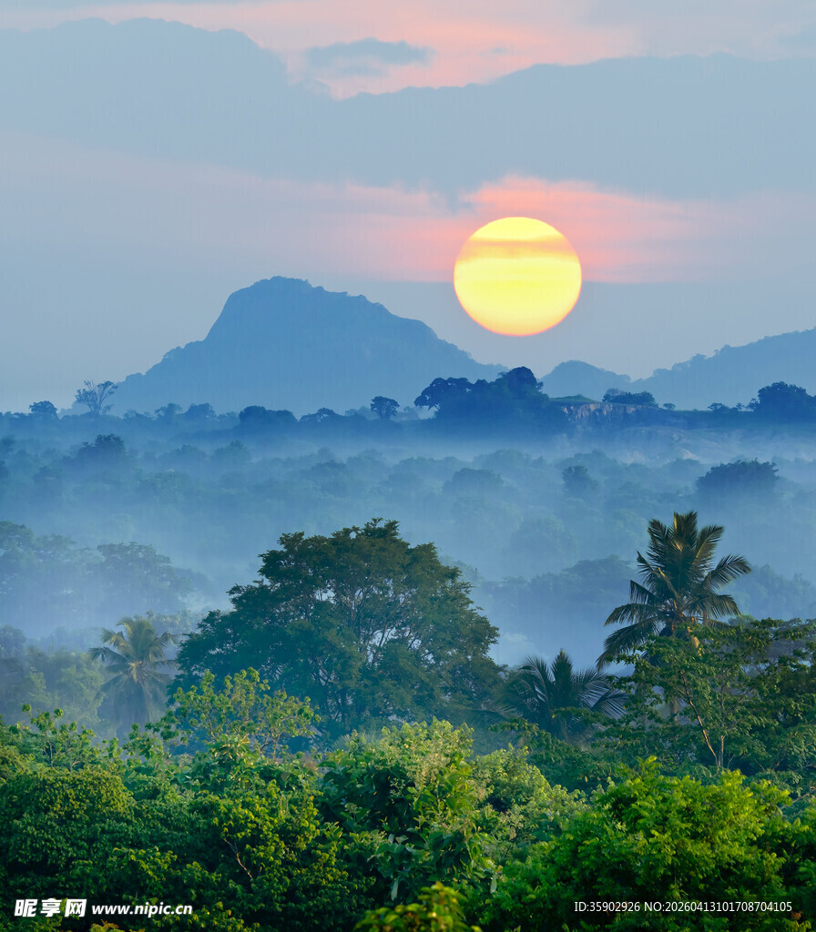 日出山林间的梦幻景致