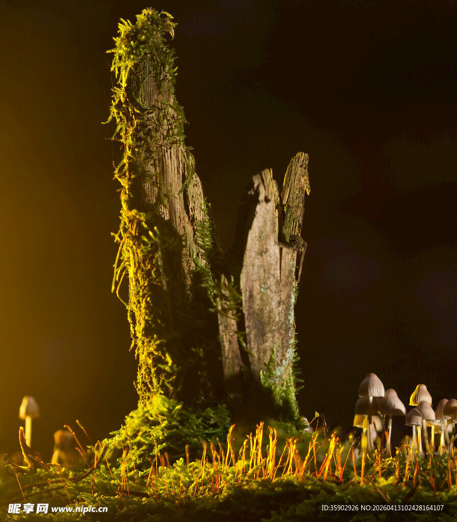 神秘古石柱与环绕荧光植物