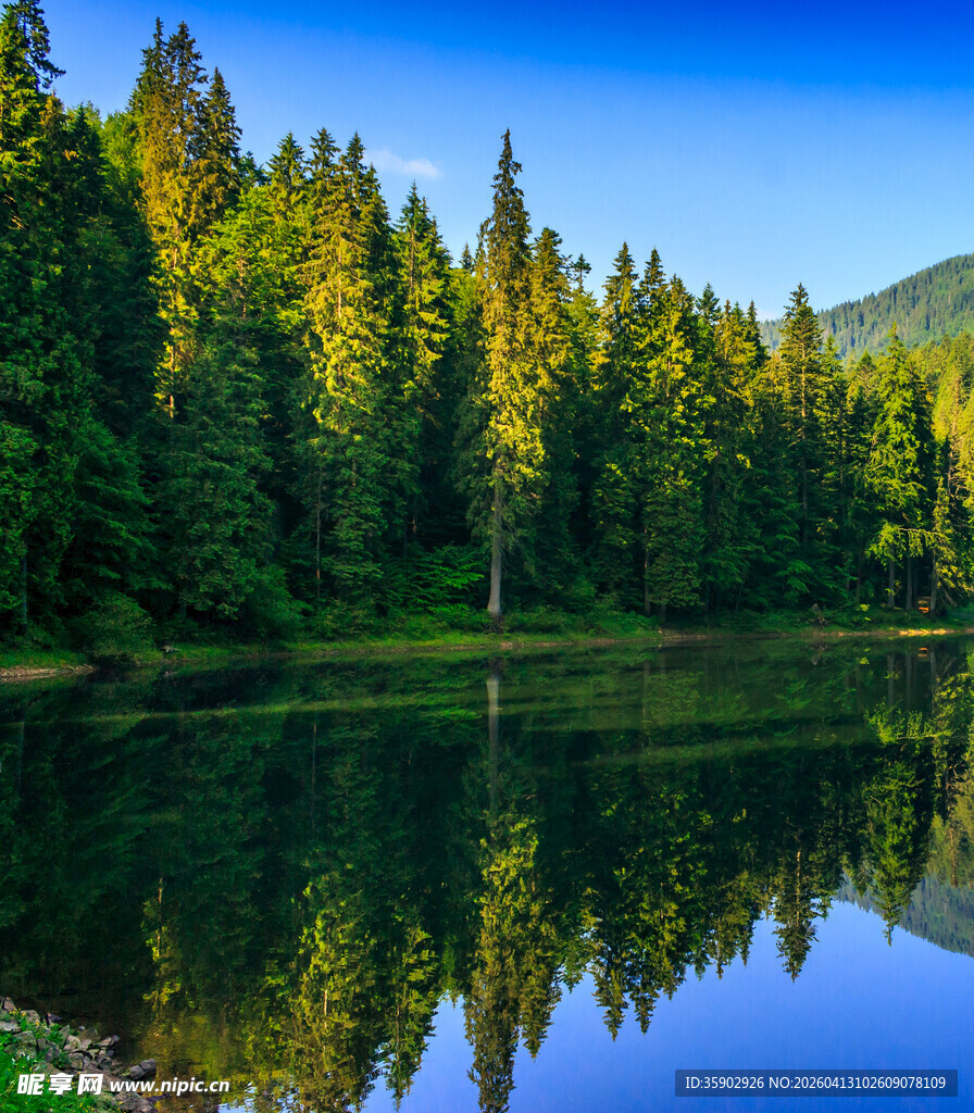 森林湖畔美景