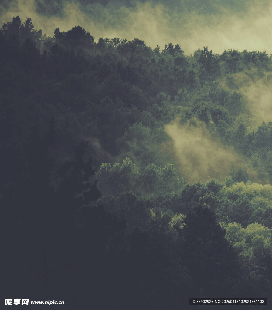 山林间的朦胧光影