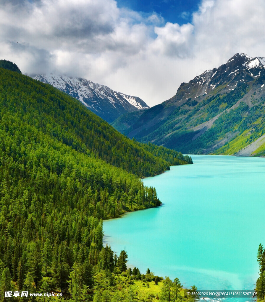 高山蓝湖旁的葱郁森林