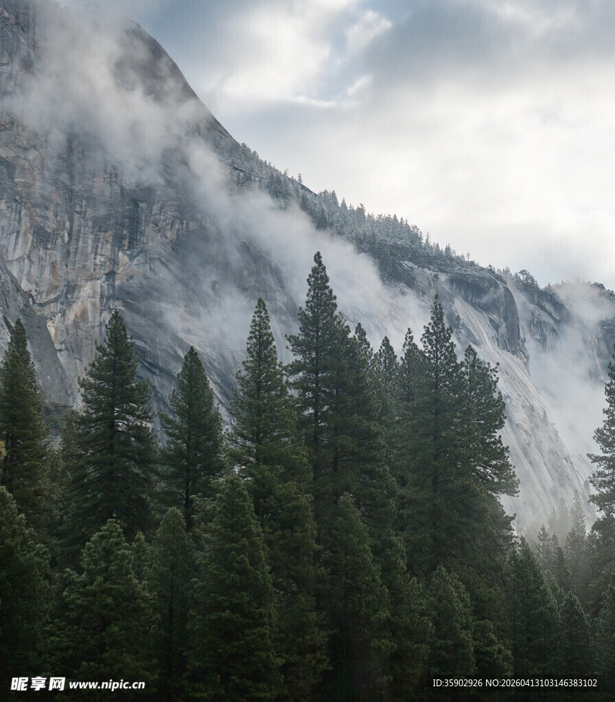 云雾缭绕的山林美景