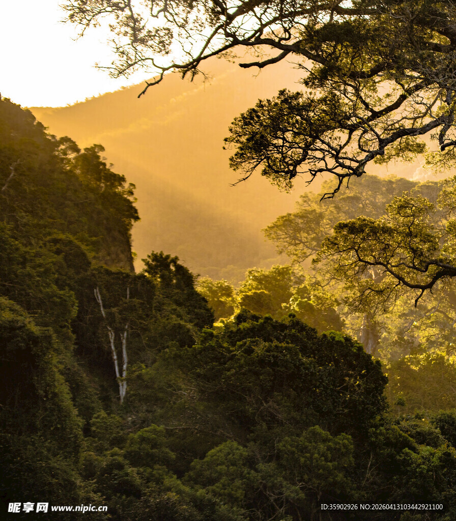 山林夕照间美景如画