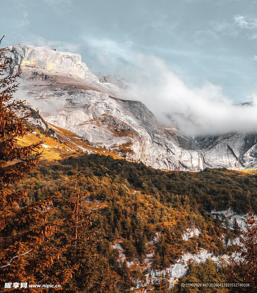 秋日雪山下的斑斓山林