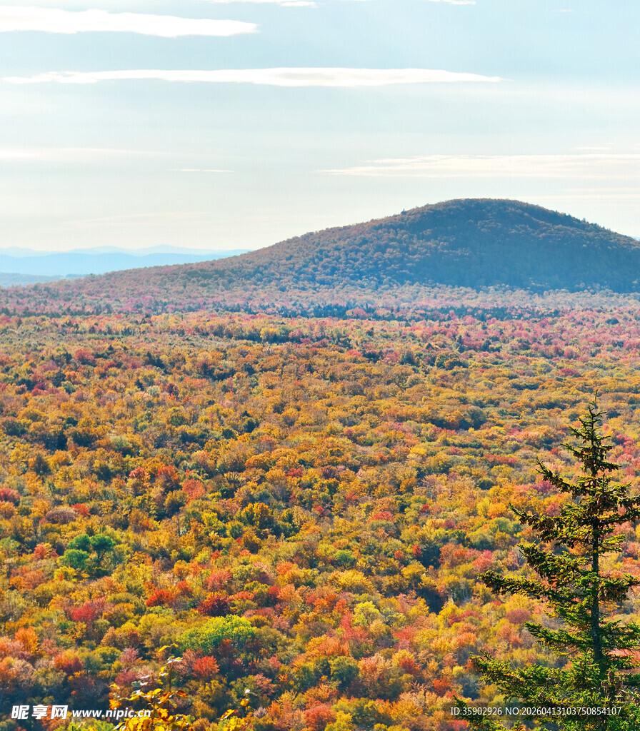 秋日山林斑斓美景