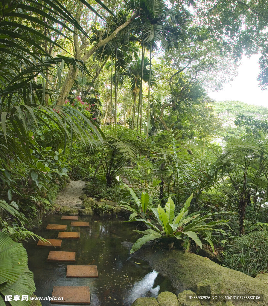 森林树林风景画