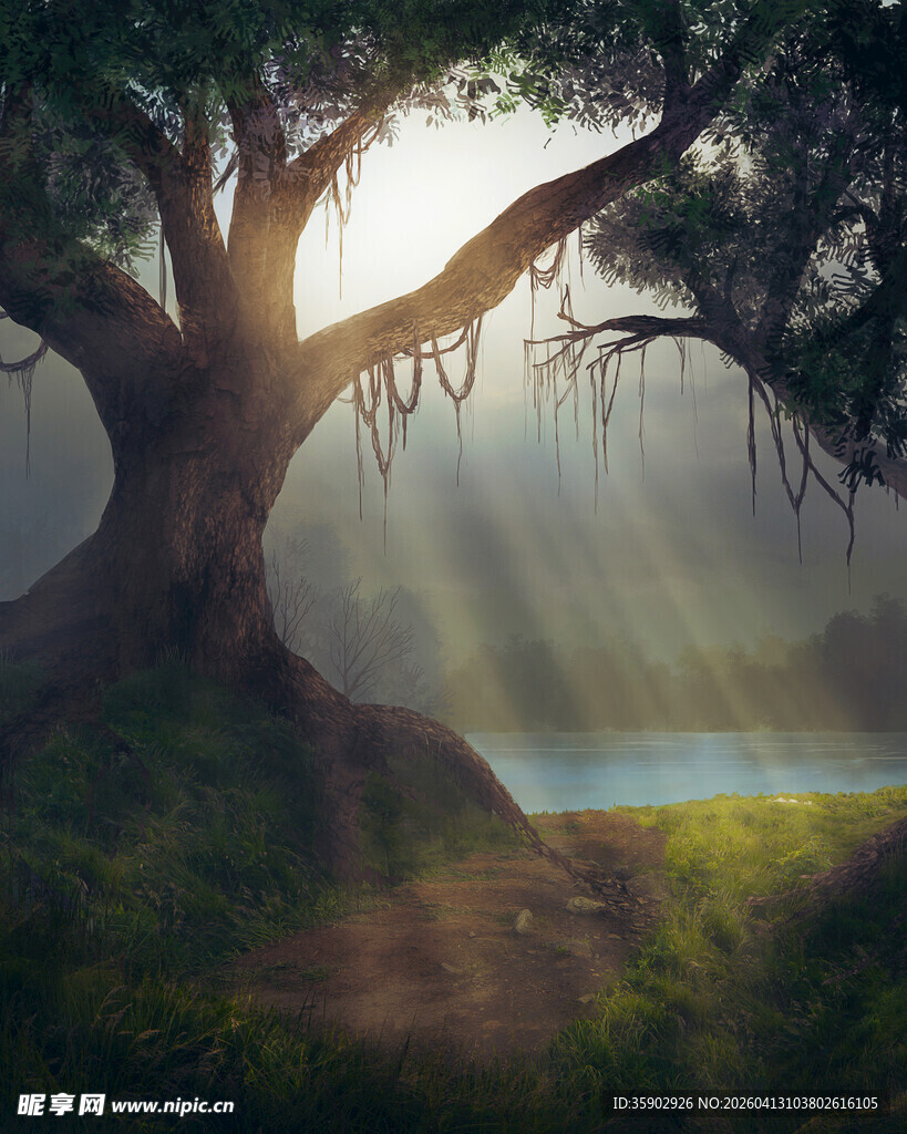 梦幻森林中的古老大树