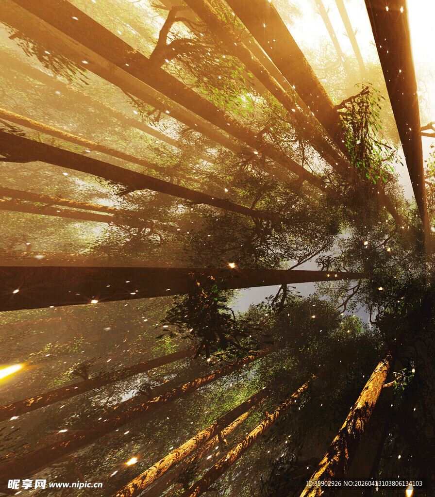 梦幻森林中的光影交错