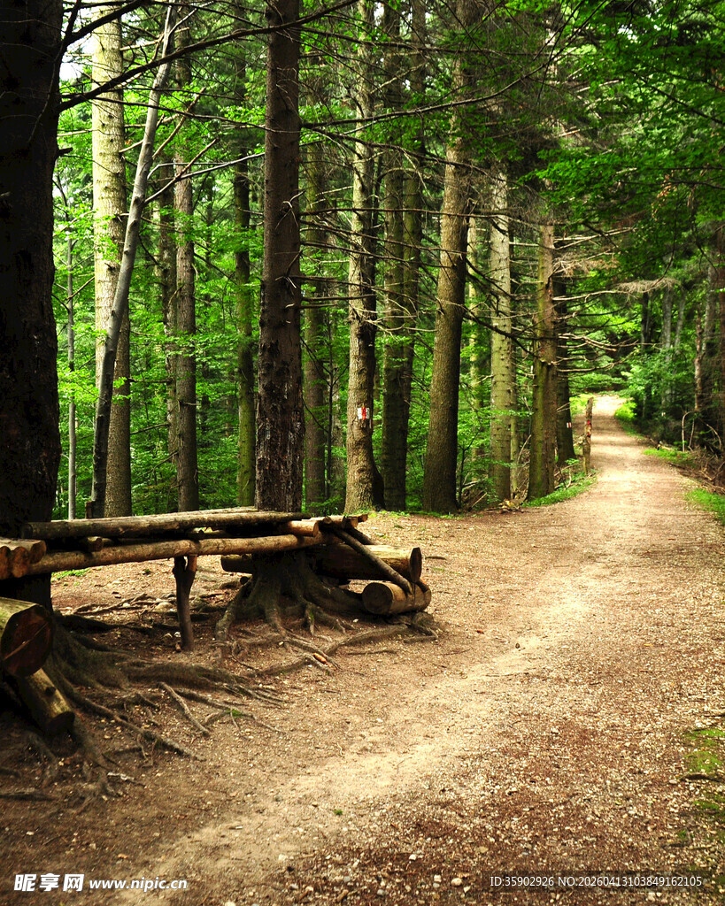 林间小径旁的休憩木桌