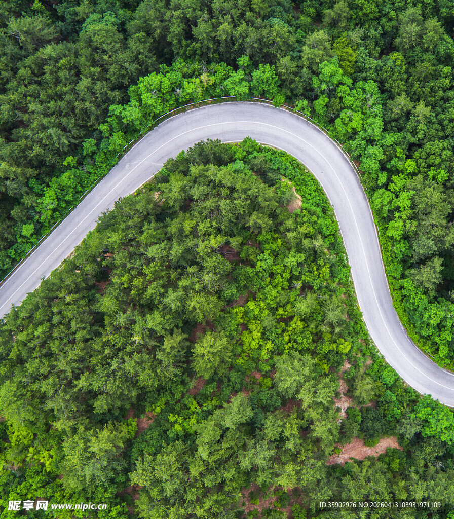 蜿蜒公路穿行于翠绿山林