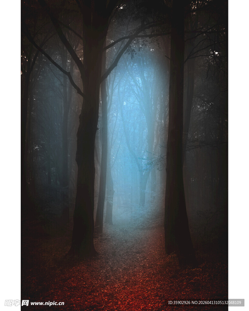 神秘迷雾森林奇幻景象