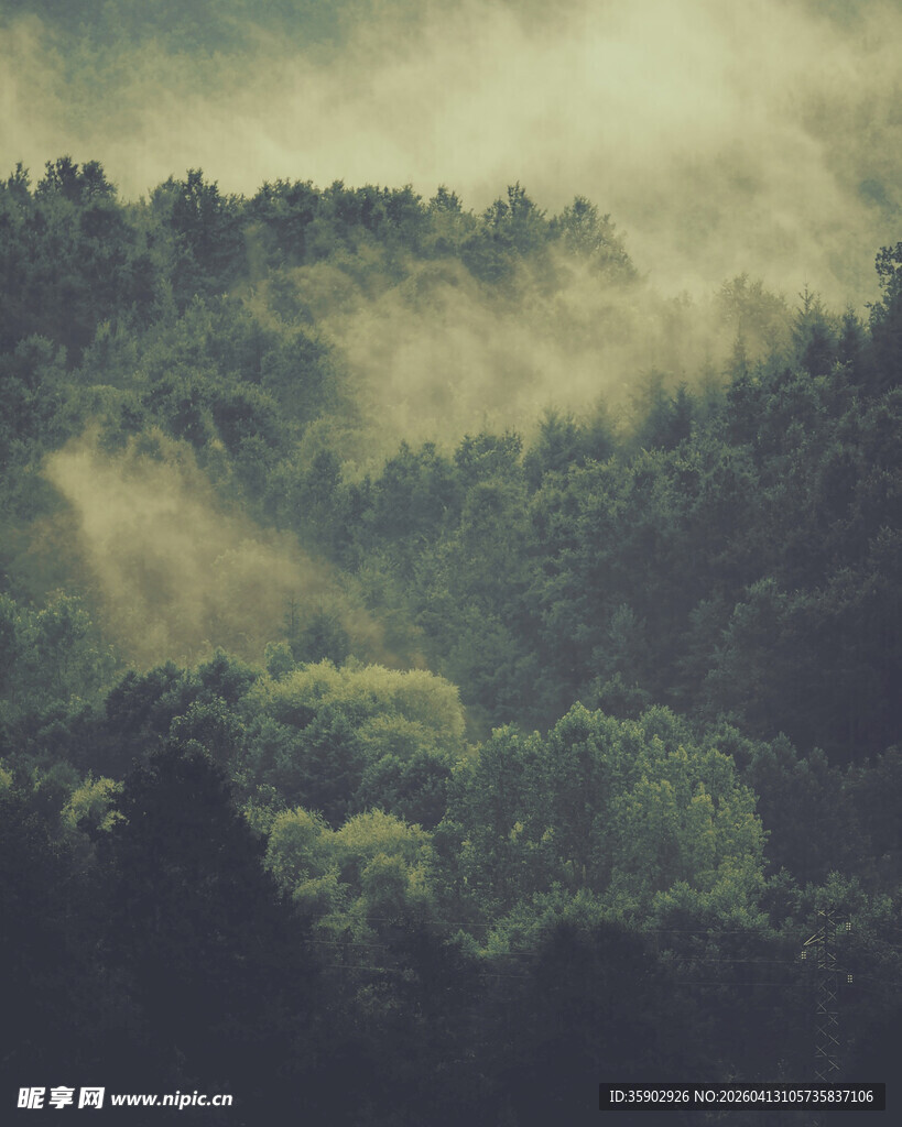 山林薄雾弥漫的静谧景致
