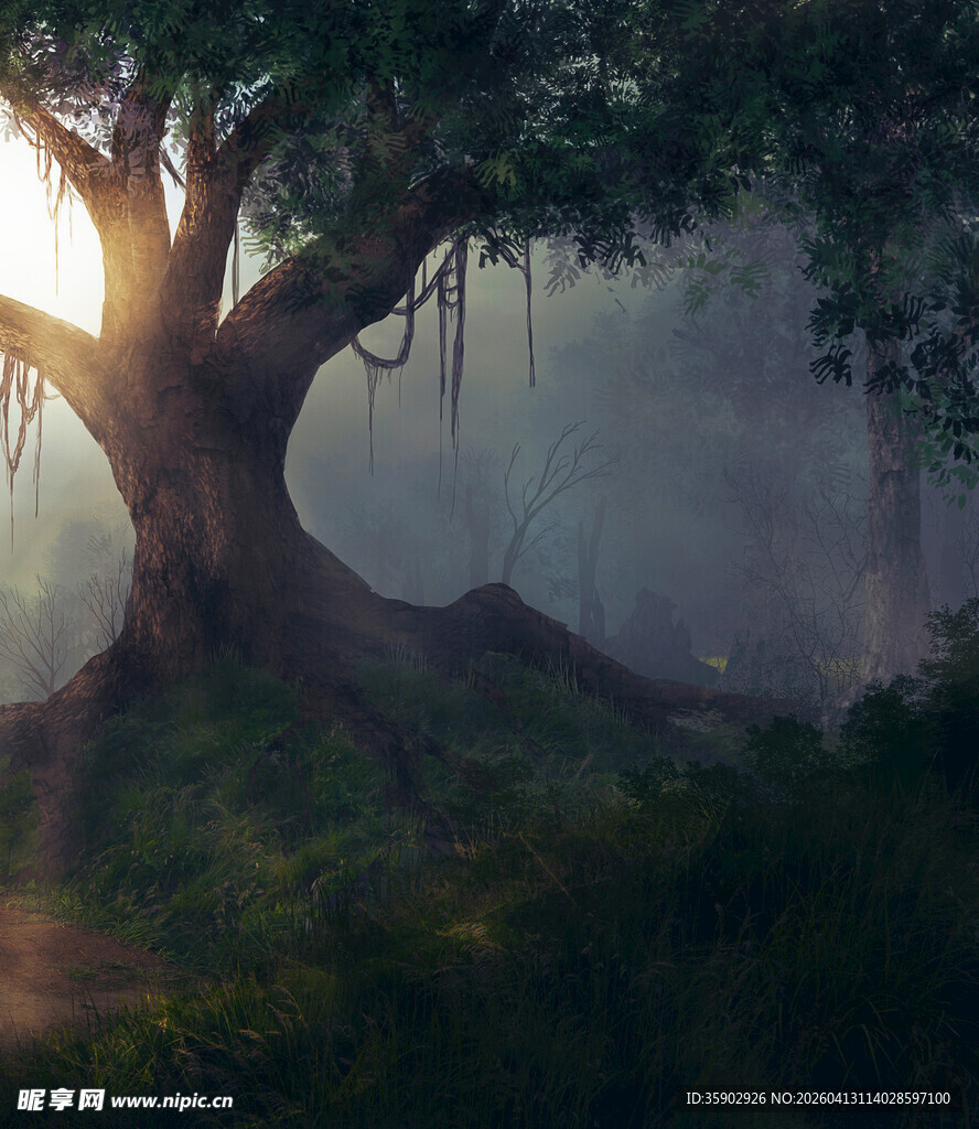 迷雾森林中的神秘大树