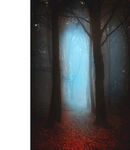 迷雾森林中的神秘光影