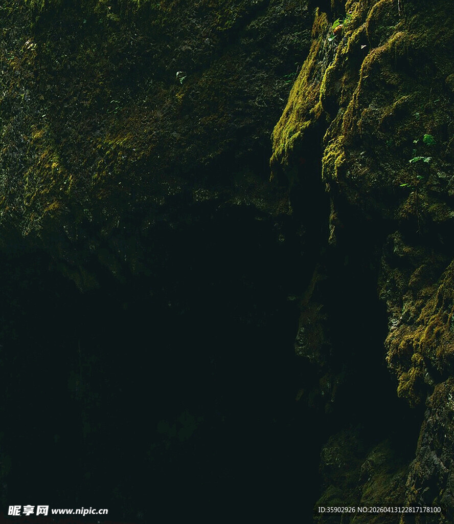 幽暗洞穴中的翠绿苔藓