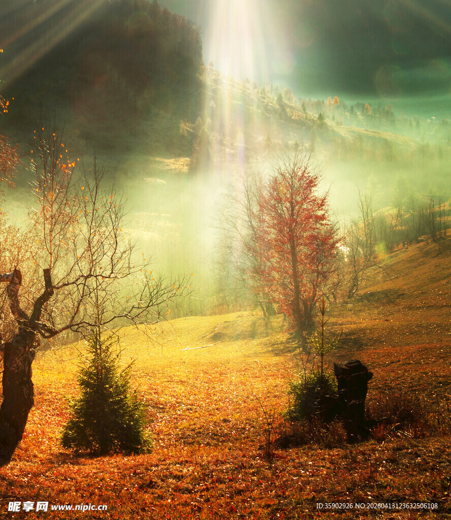 梦幻秋日森林奇幻景象