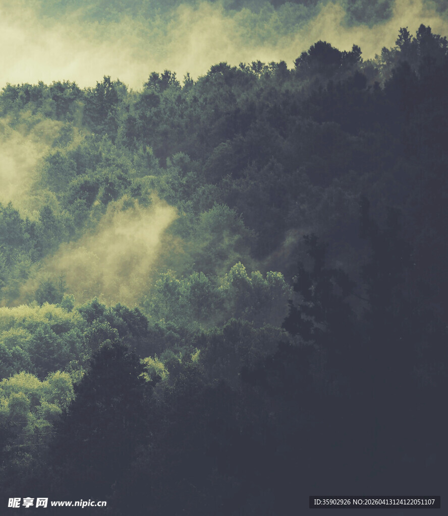 山林晨雾弥漫的静谧景象