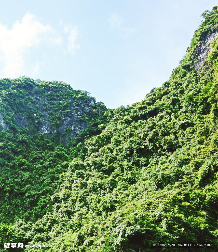 青山绿意盎然的自然景致