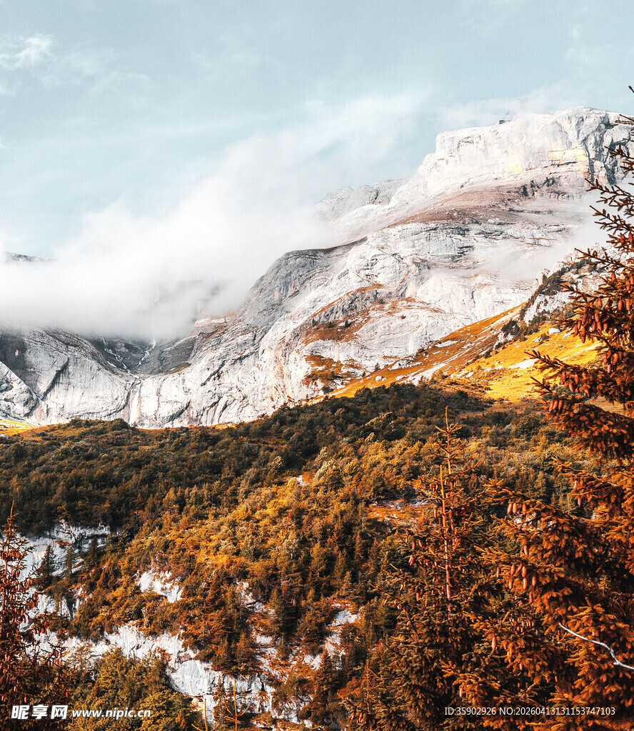秋日雪山下的斑斓山林