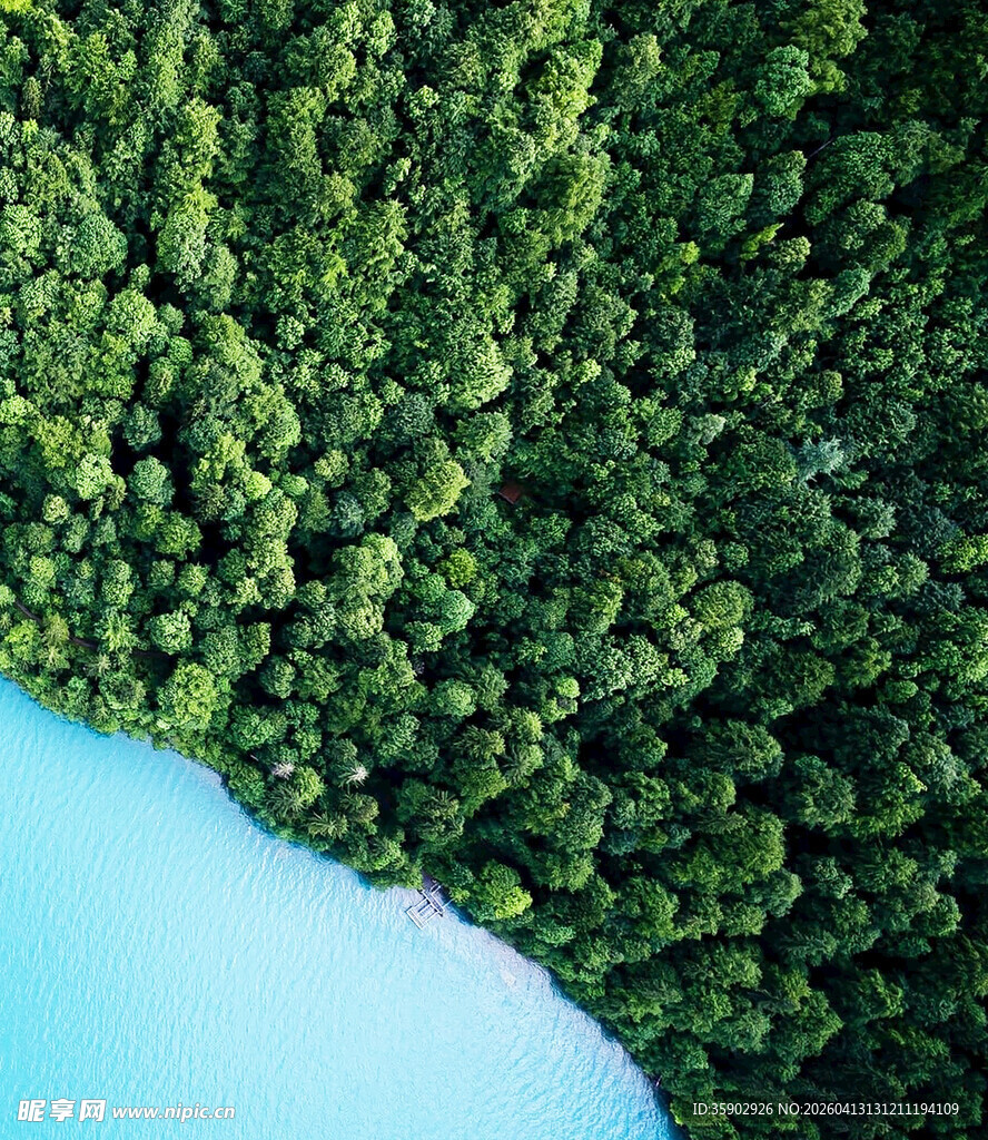 俯瞰葱郁森林与蓝色水域