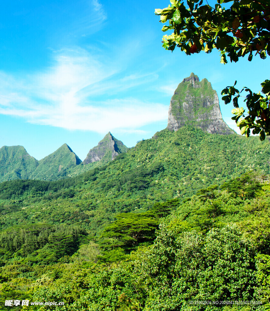 青山绿野间的秀丽风光