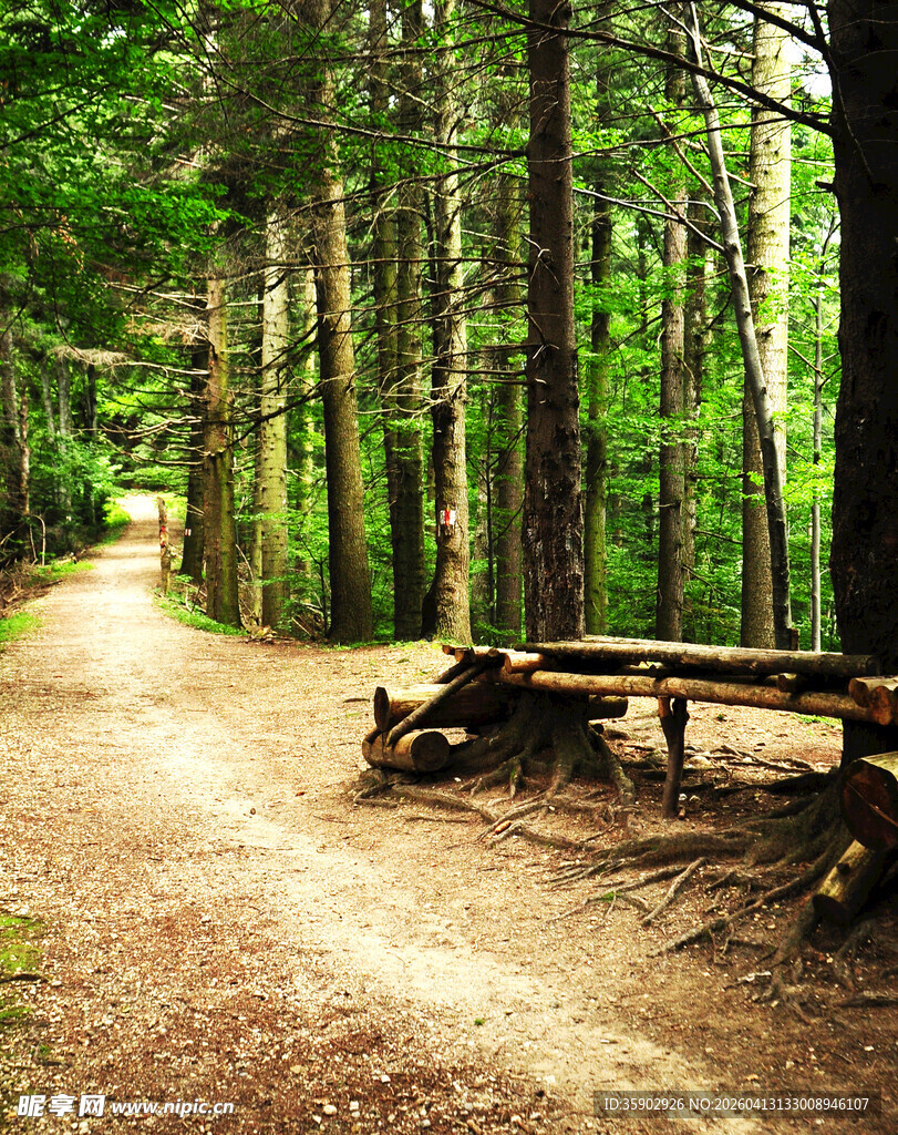 林间小道旁的休憩木桌