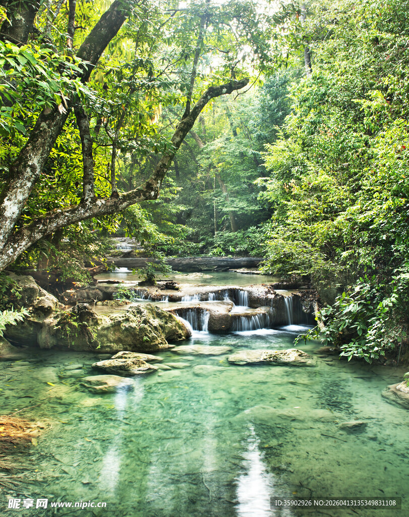 山林间的清澈溪流美景