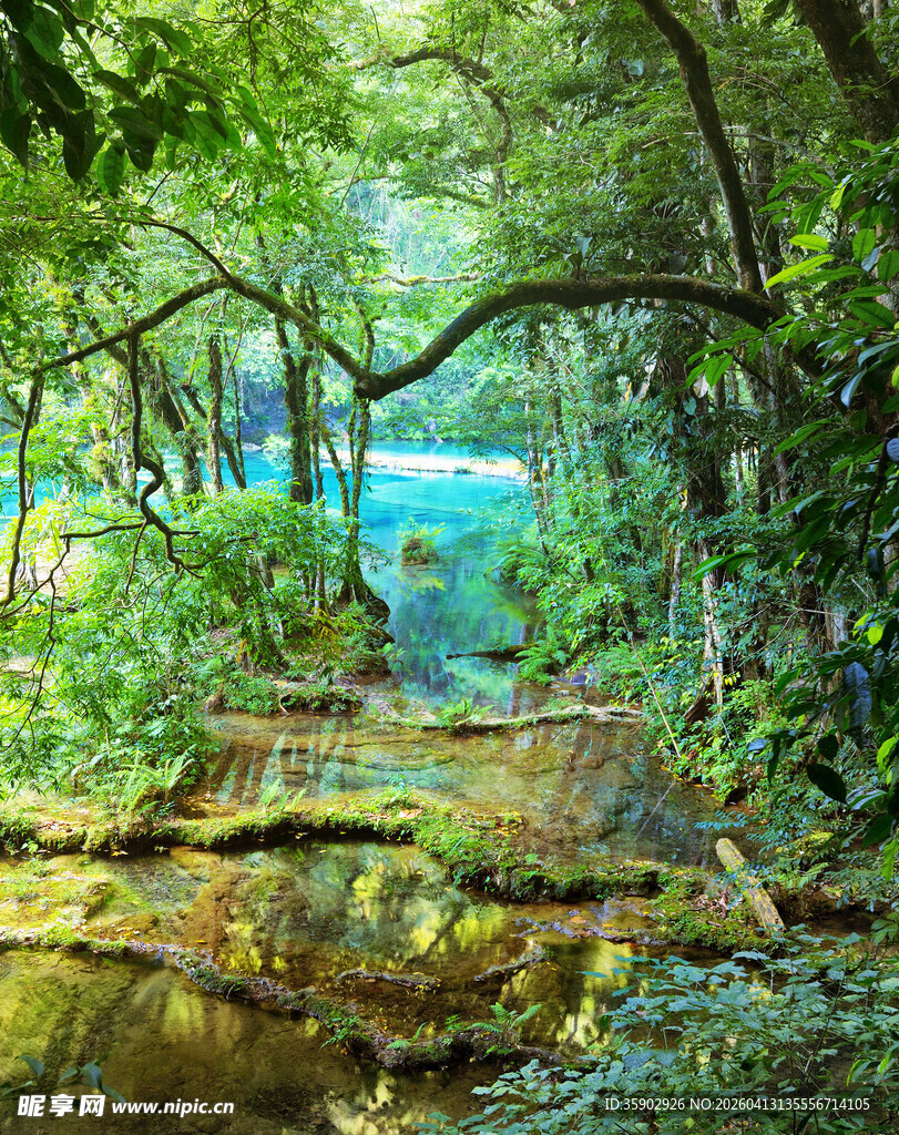 林间幽径邂逅自然之美