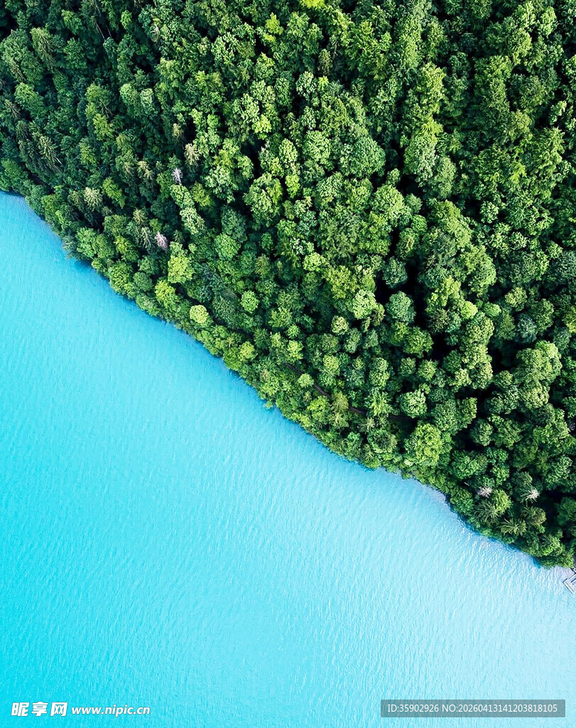 蓝水绿林的自然美景