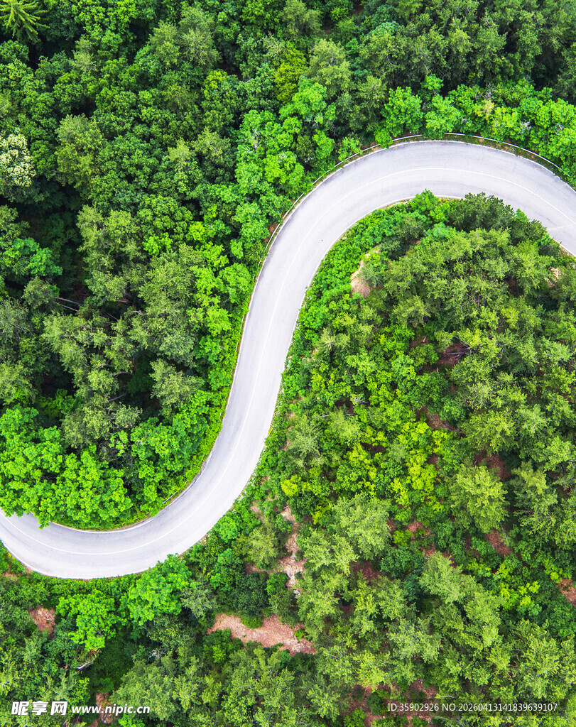 蜿蜒绿林公路