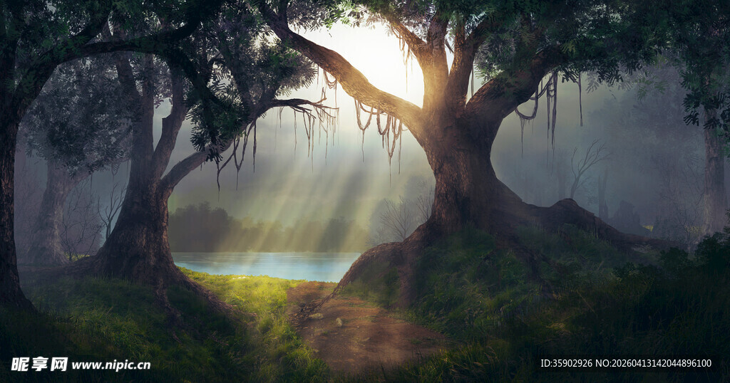 梦幻森林中的晨光美景