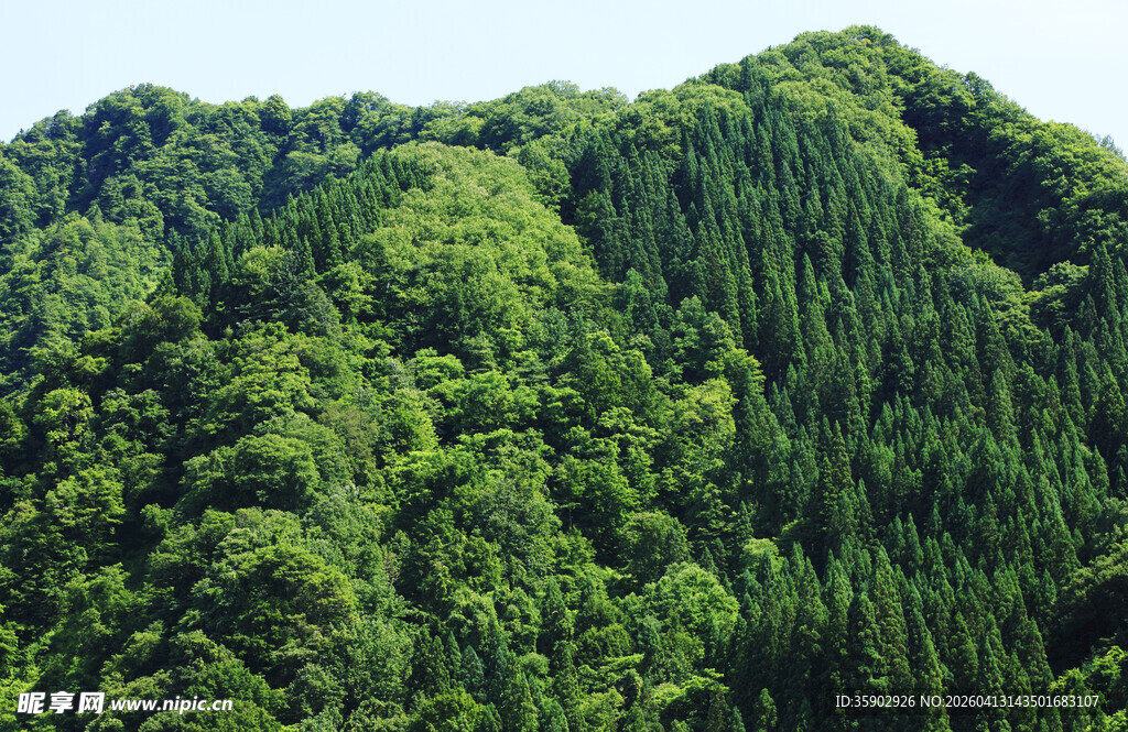 翠绿山峦尽显自然生机