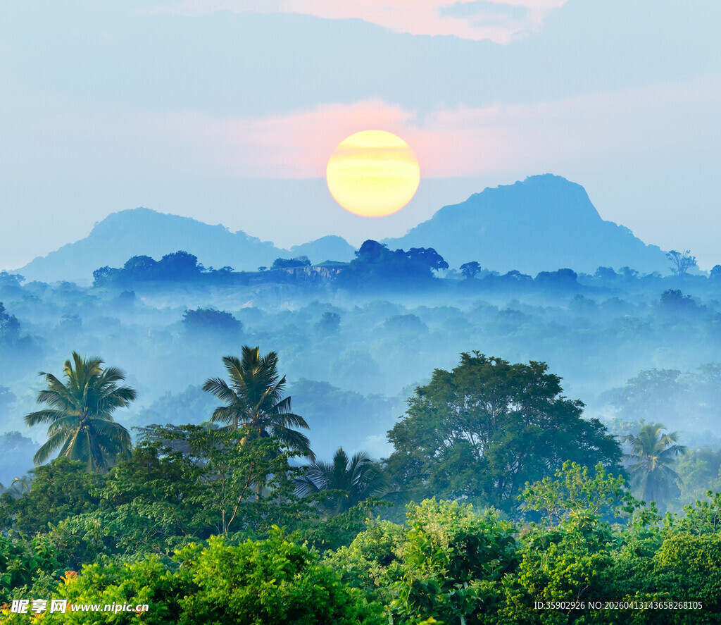 日出山林间的美丽景致