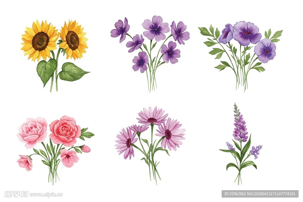水彩花卉素材