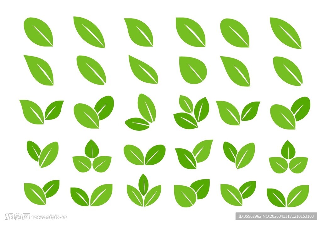 绿色叶片素材