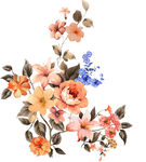 花卉 花束 植物