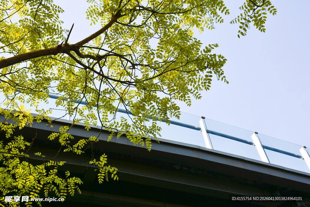 绿叶映衬下的桥梁