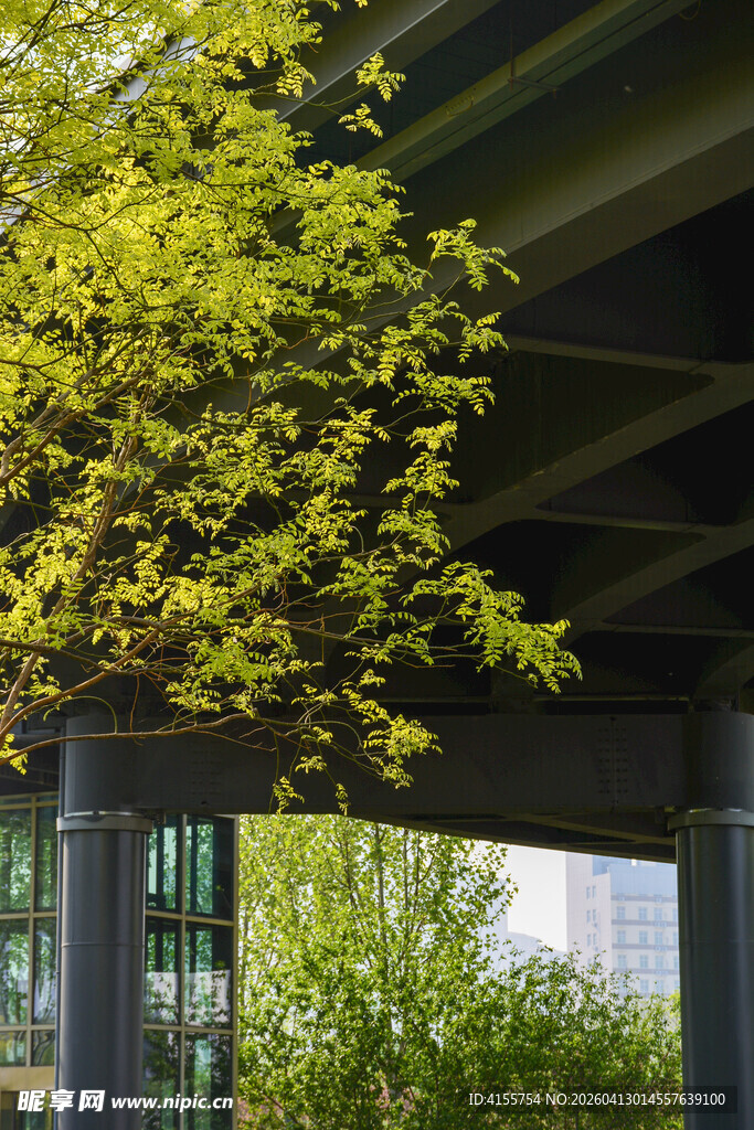 绿叶垂挂于钢结构建筑处