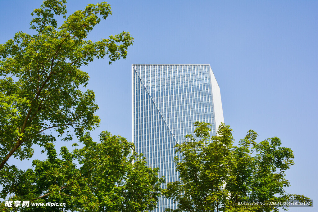 绿树掩映下的摩天大楼