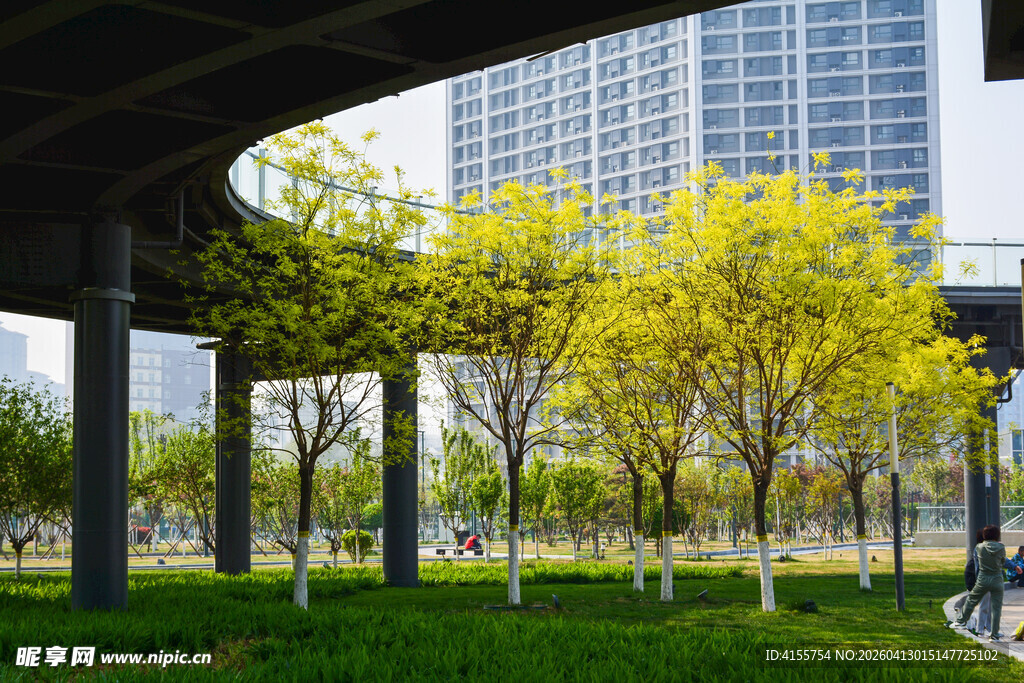 城市绿荫下的现代景观